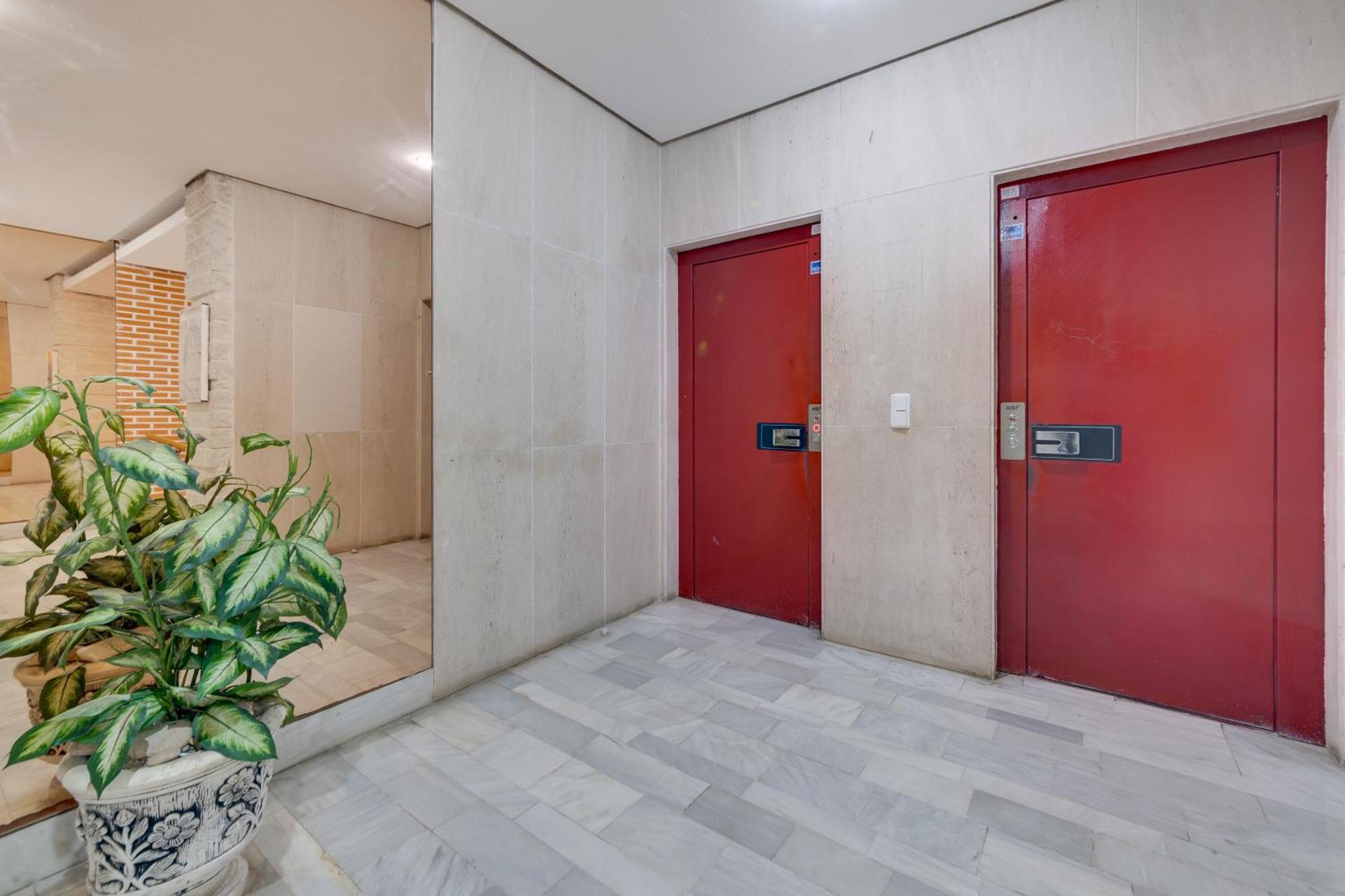 Apartamento Concordia Leilighet Torrevieja Eksteriør bilde