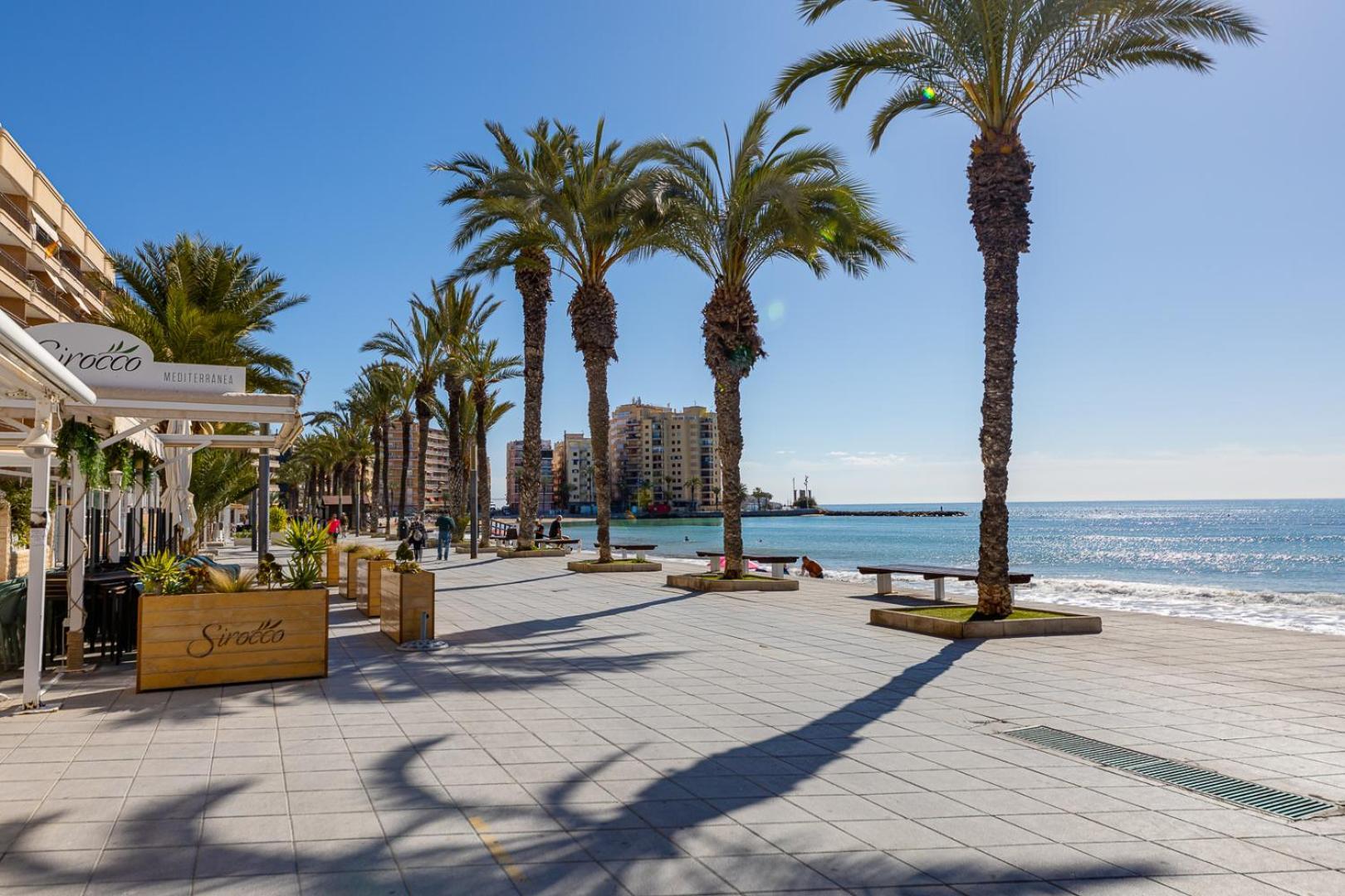 Apartamento Concordia Leilighet Torrevieja Eksteriør bilde