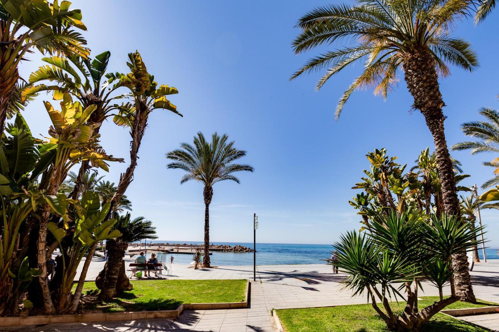 Apartamento Concordia Leilighet Torrevieja Eksteriør bilde